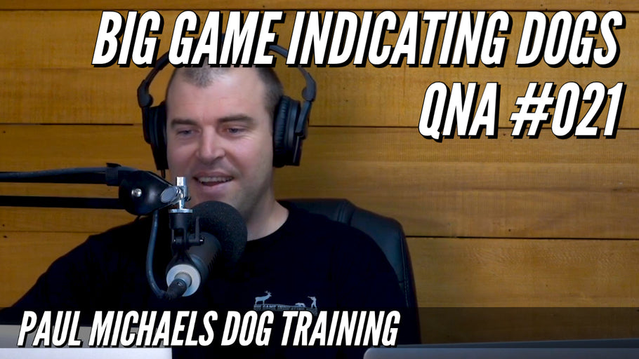 Big Game Indicating Dogs QnA #021